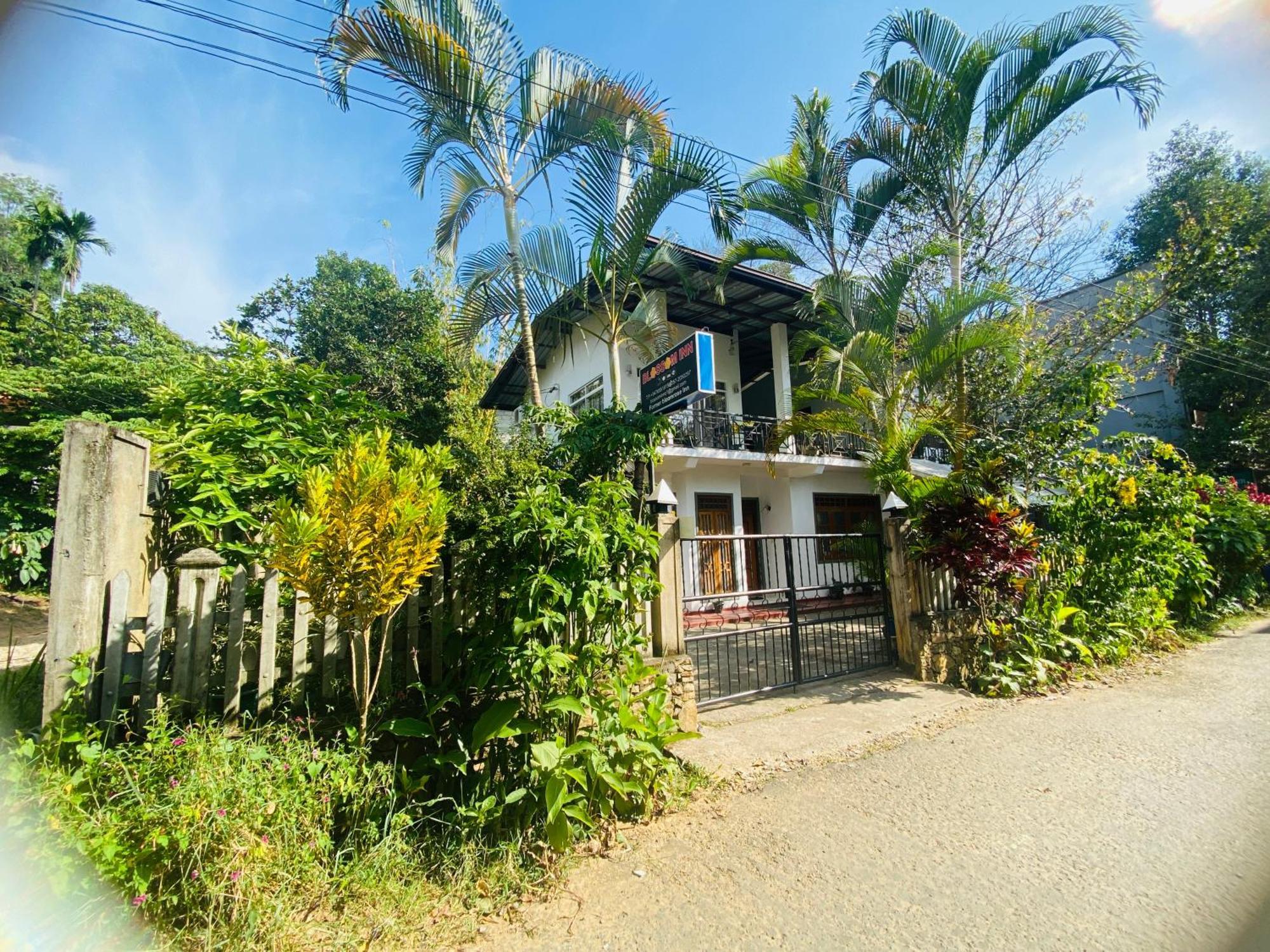 Blossom Inn Ella Εξωτερικό φωτογραφία