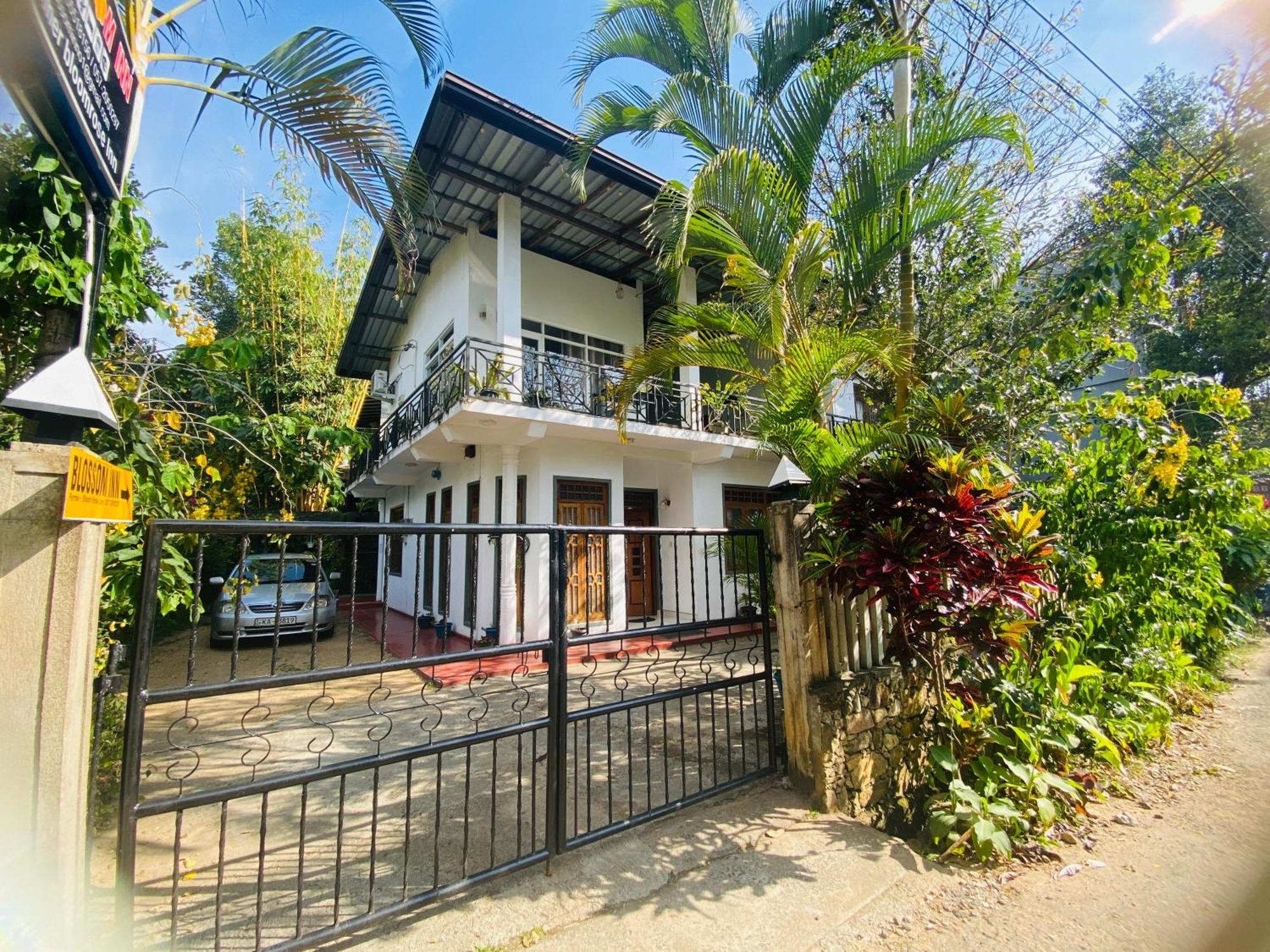 Blossom Inn Ella Εξωτερικό φωτογραφία